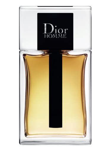 dior homme maroquinerie|christian Dior Homme 2020.